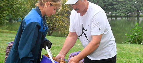 Президент убирает урожай - Sputnik Беларусь