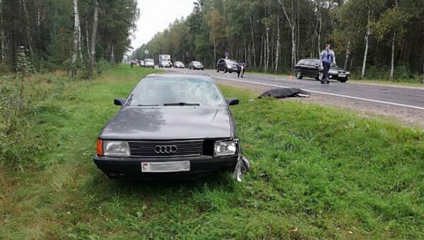 Водитель Audi насмерть сбил велосипедиста, бросил машину и скрылся - Sputnik Беларусь