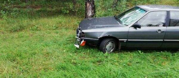 Задержан владелец Audi, сбившей насмерть велосипедиста под Молодечно - Sputnik Беларусь