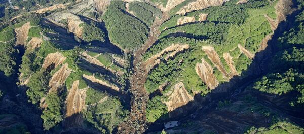 Землетрясение в Японии - Sputnik Беларусь