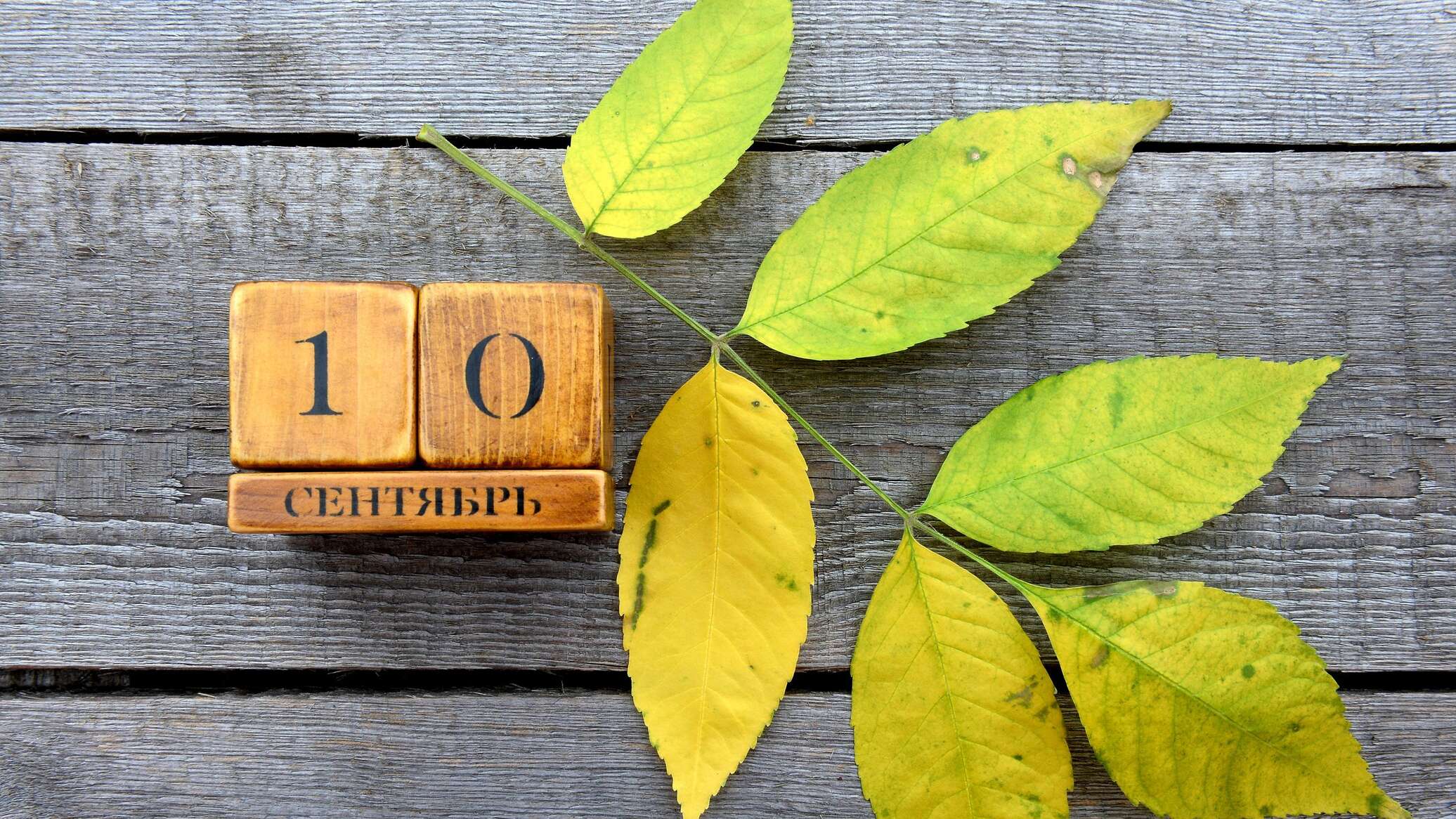 Голосование 2023. Что будет 8 10 сентября. September 7th картинки. 10 сентября картинки. 10 октября именины.