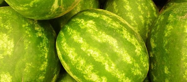 Кавуны - Sputnik Беларусь