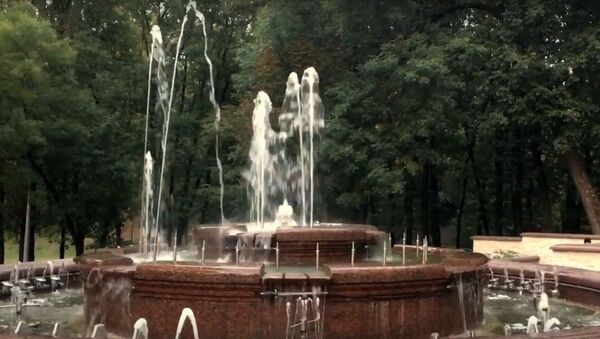 Видеофакт: витебский фонтан за миллион долларов работает странно - Sputnik Беларусь