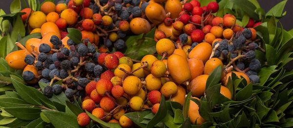 Восеньскі букет з садавінай - Sputnik Беларусь