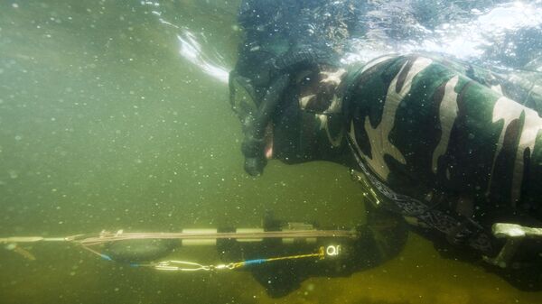 Подводная охота, архивное фото - Sputnik Беларусь