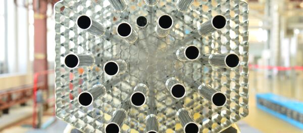 Ядзернае паліва прынялі на БелАЭС - Sputnik Беларусь