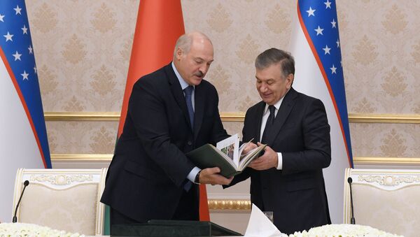 Диктатура в хорошем смысле: как Лукашенко и Мирзиёев шутили о серьезном - Sputnik Беларусь