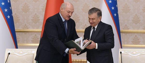 Диктатура в хорошем смысле: как Лукашенко и Мирзиёев шутили о серьезном - Sputnik Беларусь