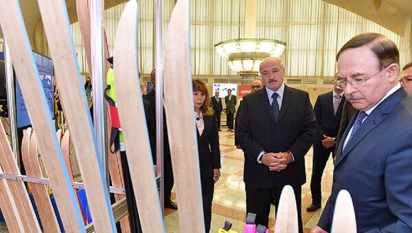 Президенту показали лыжи Телеханы - Sputnik Беларусь
