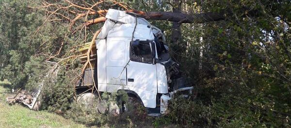 Место ДТП Место ДТП - Sputnik Беларусь