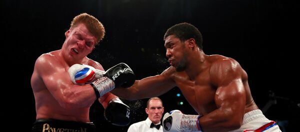 Поединок Александра Поветкина и Энтони Джошуа Поединок Александра Поветкина и Энтони Джошуа - Sputnik Беларусь