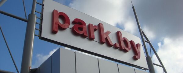 Прэзідэнт распавёў аб даходах ад экспарту ў сферы IT - Sputnik Беларусь