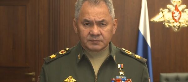 Сергей Шойгу о передаче Сирии комплексов С-300 - Sputnik Беларусь