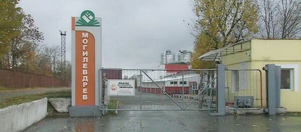 Взрыв прогремел на предприятии Могилевдрев - Sputnik Беларусь