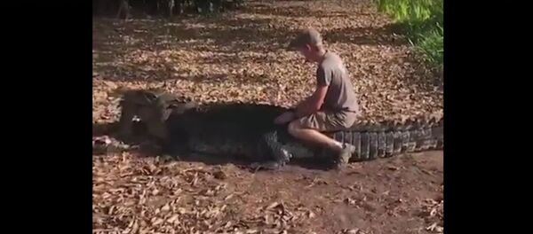 Видеофакт: бесстрашный турист оседлал крокодила и остался жив Видеофакт: бесстрашный турист оседлал крокодила и остался жив - Sputnik Беларусь