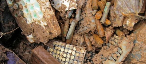 Схрон с тысячами патронов обнаружен на приусадебном участке в Логойске - Sputnik Беларусь