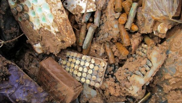 Схрон с тысячами патронов обнаружен на приусадебном участке в Логойске - Sputnik Беларусь