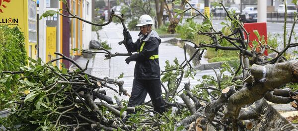 Последствия тайфуна в Японии - Sputnik Беларусь