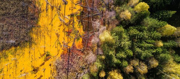 Экологическая катастрофа на Левихинском медноколчеданном подземном руднике, пос. Лёвиха, Свердловская область - Sputnik Беларусь