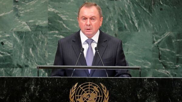 Владимир Макей во время выступления в ООН - Sputnik Беларусь
