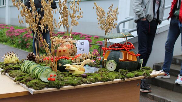 Создавая произведения из овощей и цветов, студенты не сдерживали фантазию - Sputnik Беларусь