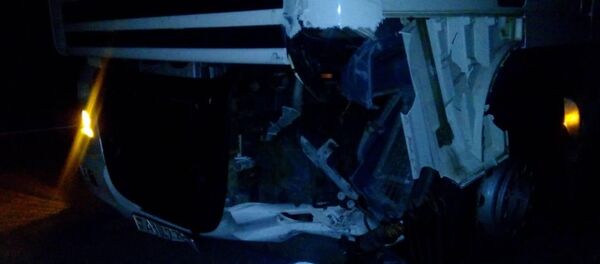 Последствия ДТП с лосем в Кобринском районе - Sputnik Беларусь