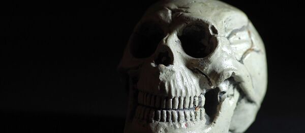 Череп, архивное фото Череп, архивное фото - Sputnik Беларусь