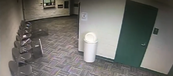 Еноты атаковали полицейский участок в США  - Sputnik Беларусь