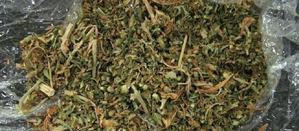 Наркотики, найденные в лаборатории в Минске - Sputnik Беларусь