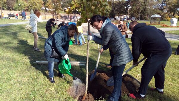 Работники горисполкома сажают деревья, которые предназначались для Мясниковича - Sputnik Беларусь