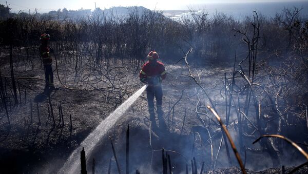 Ликвидация пожара в парке в Португалии - Sputnik Беларусь