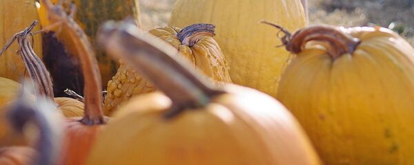 Девочка с тыквами - Sputnik Беларусь