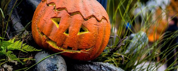 Тыквы на Хэллоуин - Sputnik Беларусь