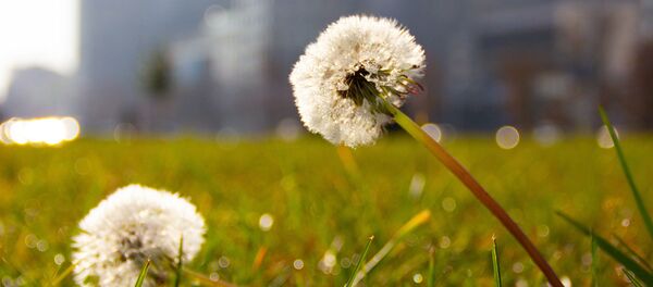 Осень в Минске - Sputnik Беларусь