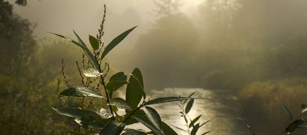 Бабье лето - Sputnik Беларусь