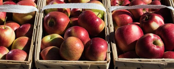 Яблоки в упаковке - Sputnik Беларусь