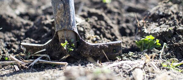 Лопата, архивное фото - Sputnik Беларусь