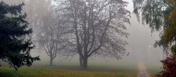 Туманное утро в Минске - Sputnik Беларусь