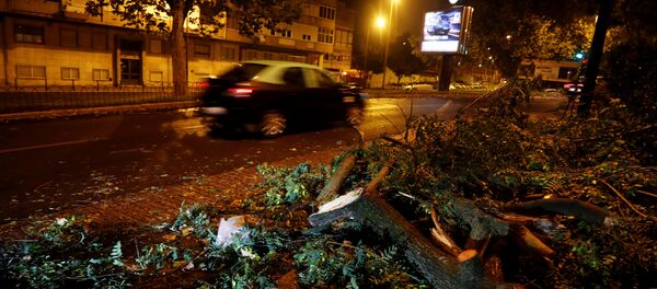 Последствия урагана Лесли в Португалии - Sputnik Беларусь