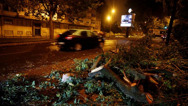 Последствия урагана Лесли в Португалии - Sputnik Беларусь