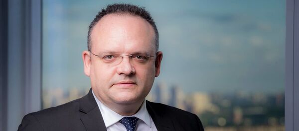 Эксперт Международного Финансового Центра Владимир Рожанковский  - Sputnik Беларусь