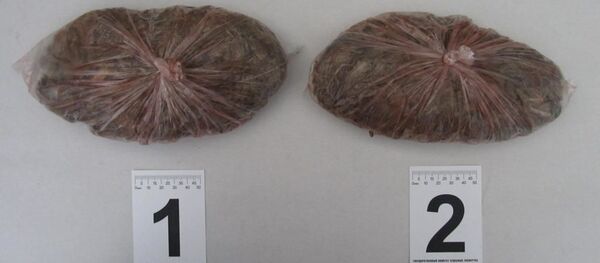 Обнаруженная марихуана Обнаруженная марихуана - Sputnik Беларусь