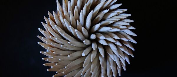 Зубочистки, архивное фото Зубочистки, архивное фото - Sputnik Беларусь