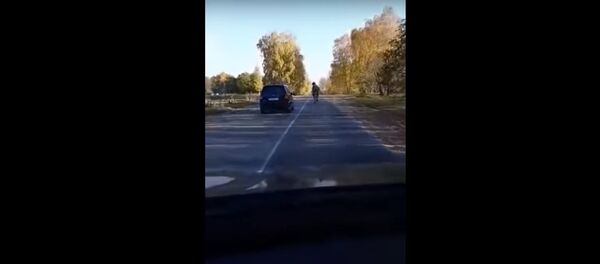 Верблюд на дороге - Sputnik Беларусь