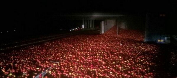 Машина с яблоками опрокинулась в Барановичском районе - Sputnik Беларусь