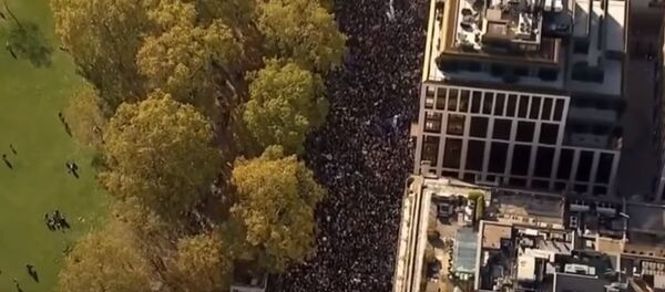 Лондонцы требует повторное голосование по Brexit, видео - Sputnik Беларусь