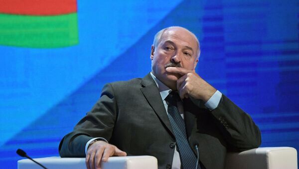 Президент Республики Беларусь Александр Лукашенко, архивное фото - Sputnik Беларусь