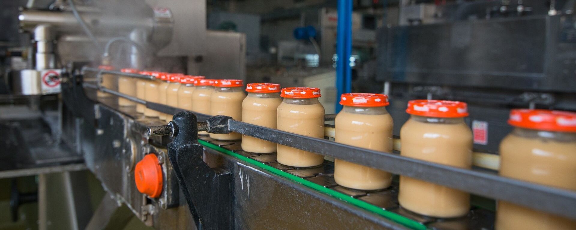 Вытворчасць дзіцячага харчавання - Sputnik Беларусь, 1920, 06.10.2025