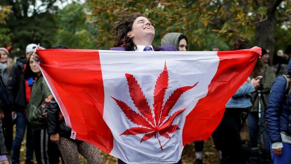 Легализация марихуаны в Канаде - Sputnik Беларусь