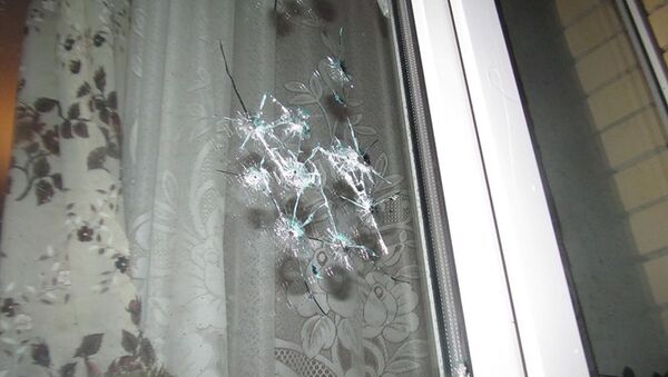 Разбитое выстрелами окно - Sputnik Беларусь